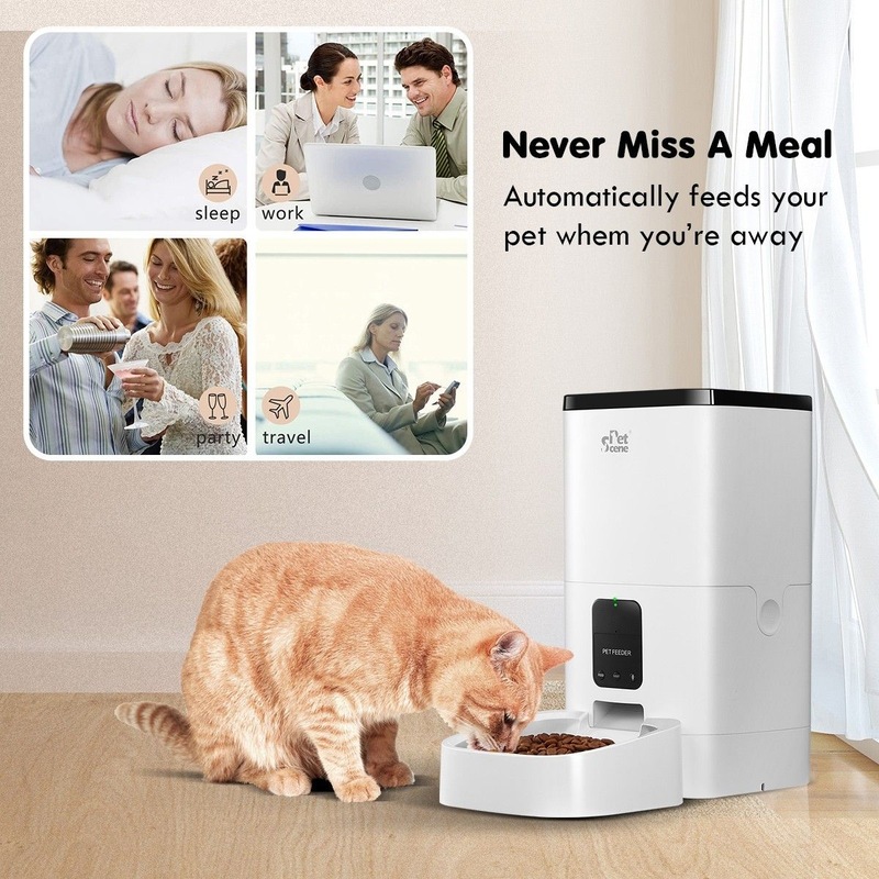 Buy Petscene 6L Automatic Pet Feeder WiFi Enabled Smart Dog Cat Feeder