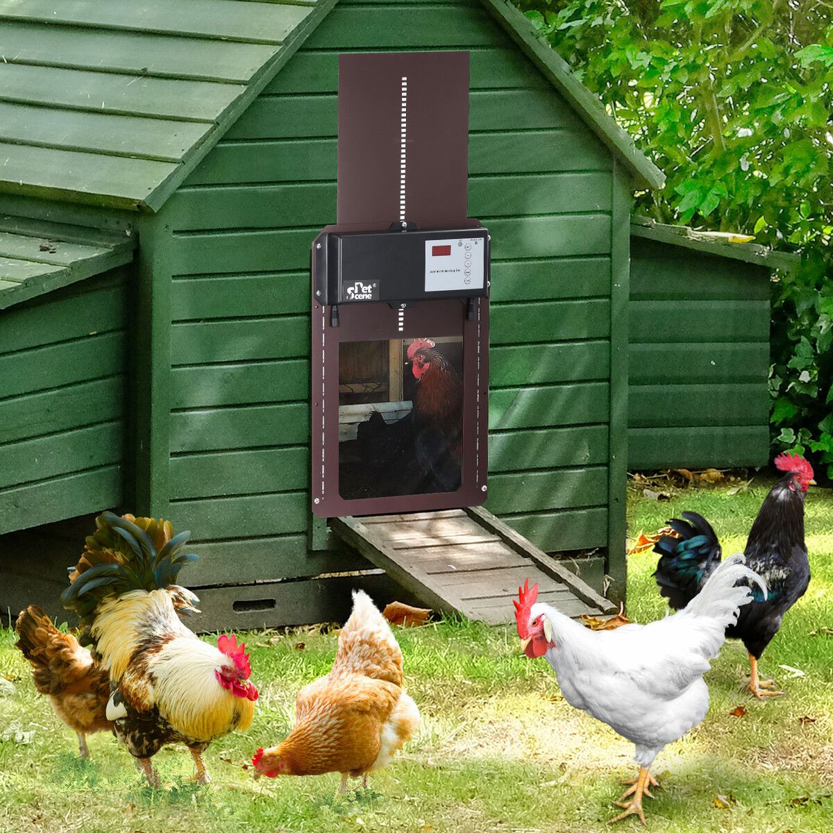 Buy Petscene Automatic Chicken Coop Door Opener Kit LED Lights