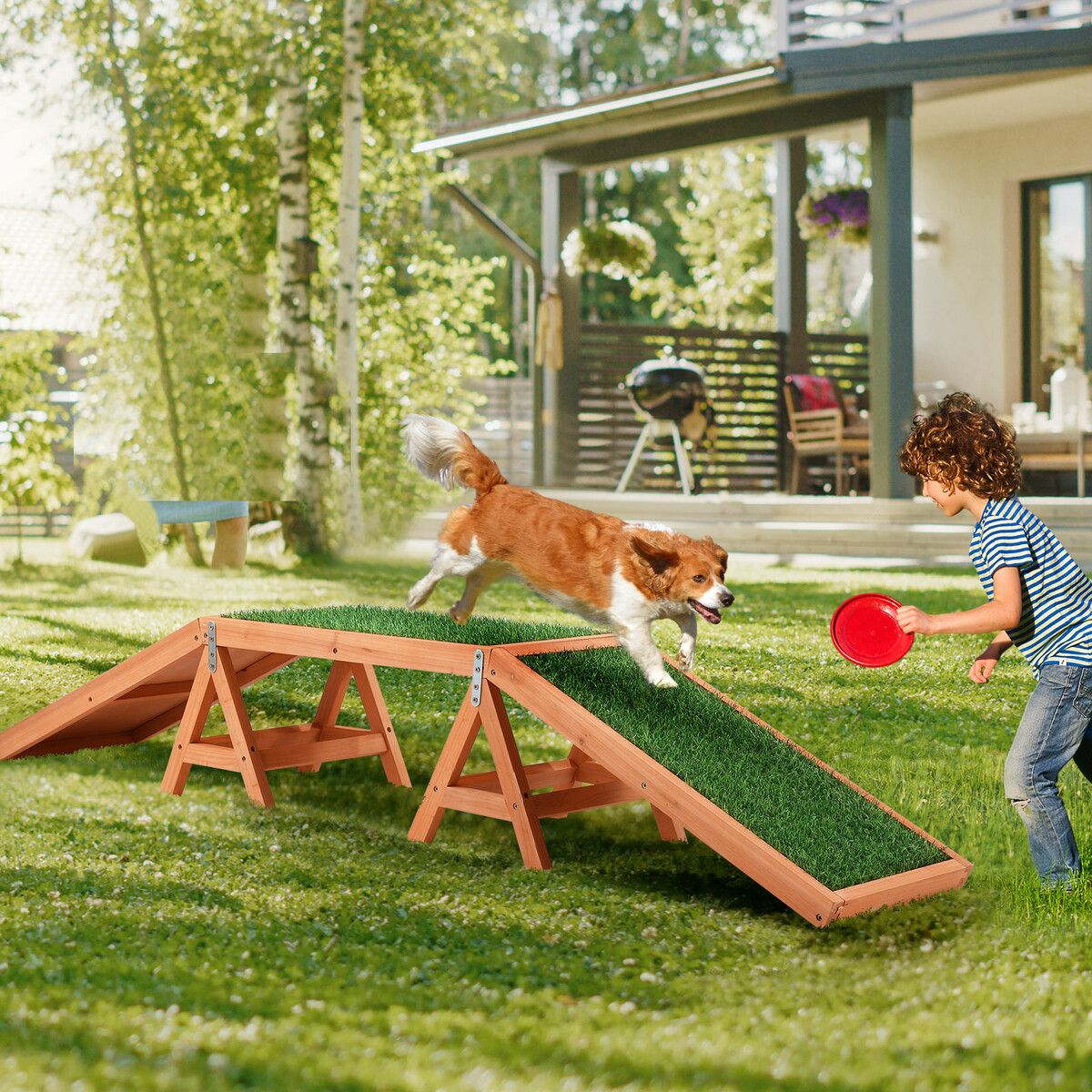 Dog climbing clearance equipment