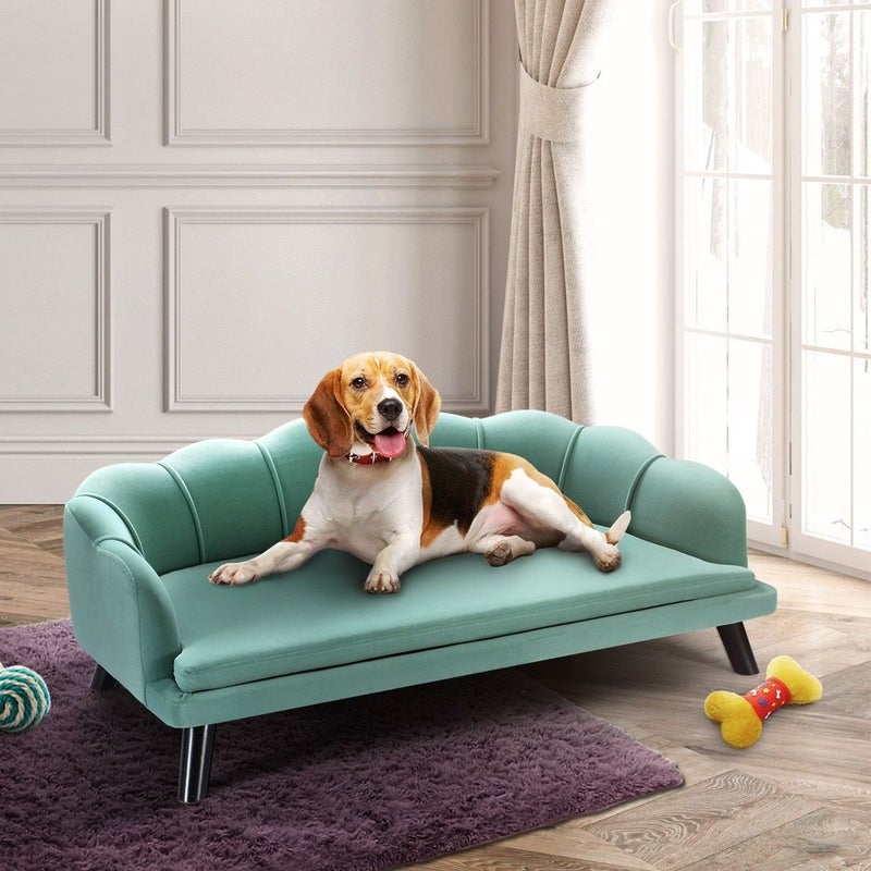 Petscene New Extra Large Raised Dog Bed Cushioned Sofa Pet Bed | Buy