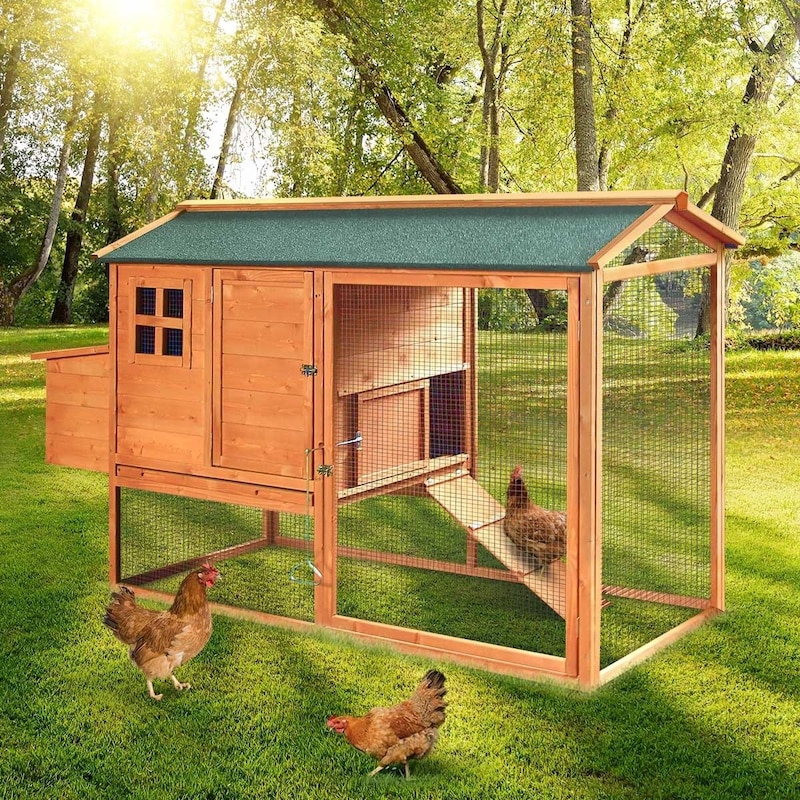 Buy Petscene Wooden Chicken Coop Run 200cm Walk-in Rabbit Hutch Ferret ...