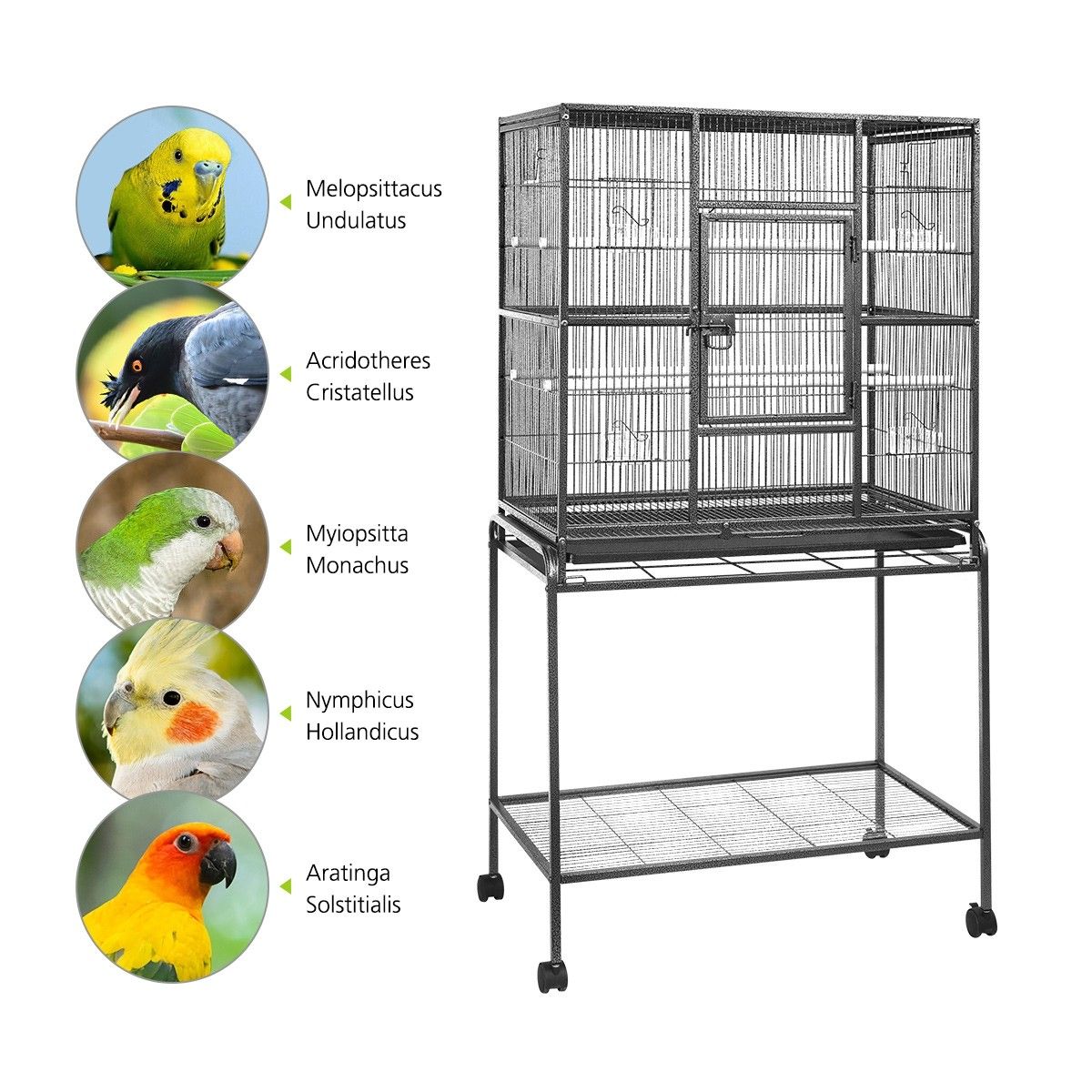 Buy Large Bird Cage Aviary Budgie Parrot Canary House Pet