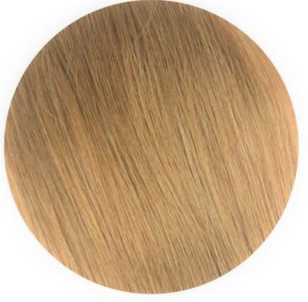 Salon Professional 20 Piece Tape In Hair Extensions #18 20"