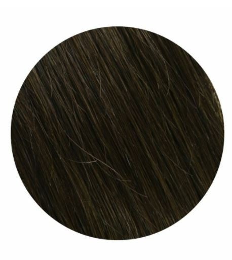 Salon Professional 20 Piece Tape In Hair Extensions #2 20"