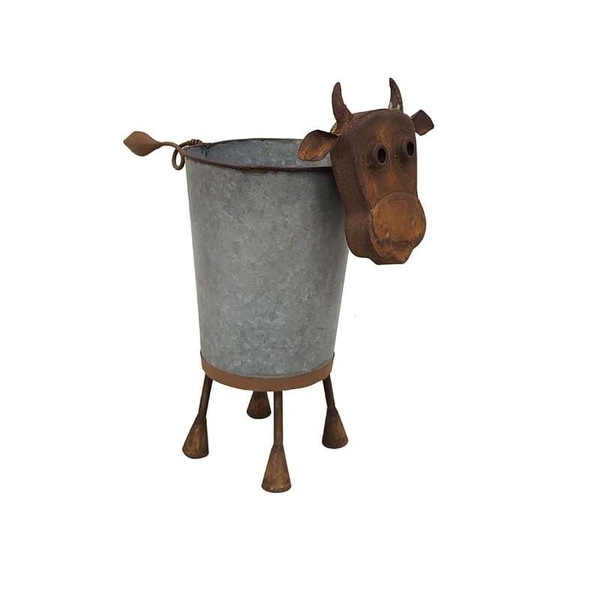 Image 10