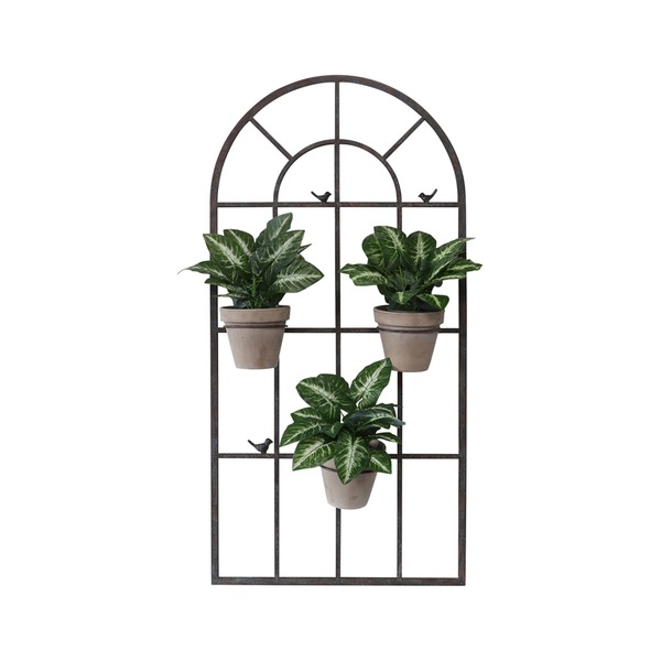 Image 10