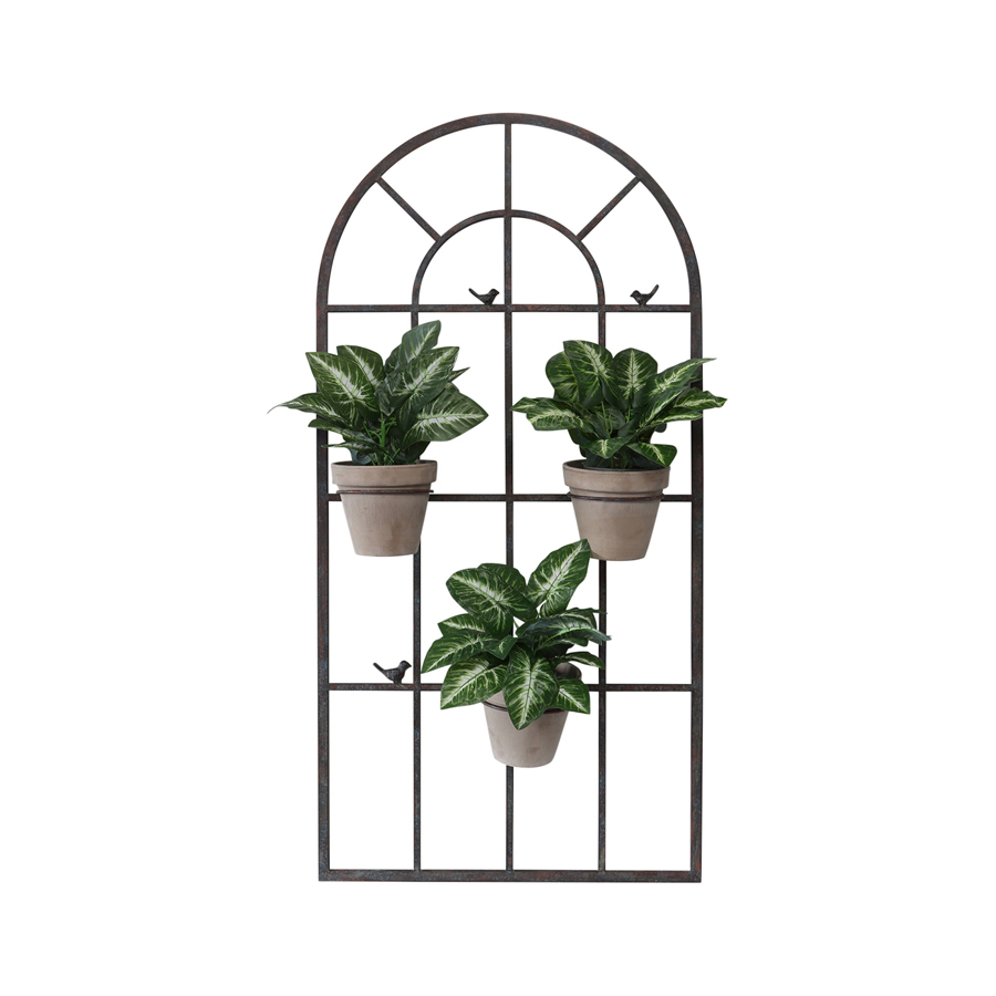 Image 10