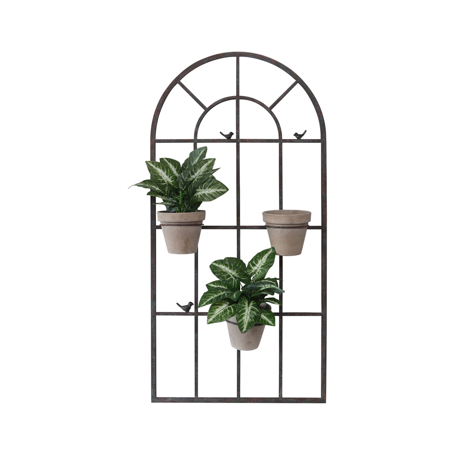 Image 11