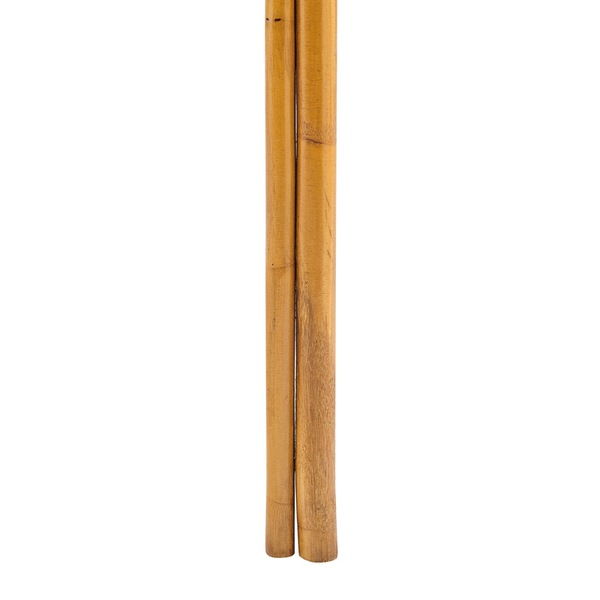 Image 16