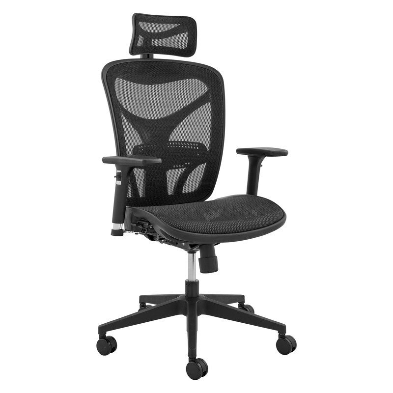 Buy ErgoDuke 1200 Series Executive HighBack Ergonomic Office Chair