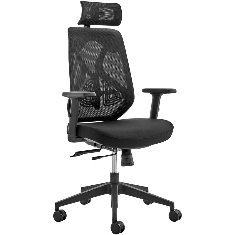 ErgoDuke Deluxe High Back Mesh Ergonomic Office Chair