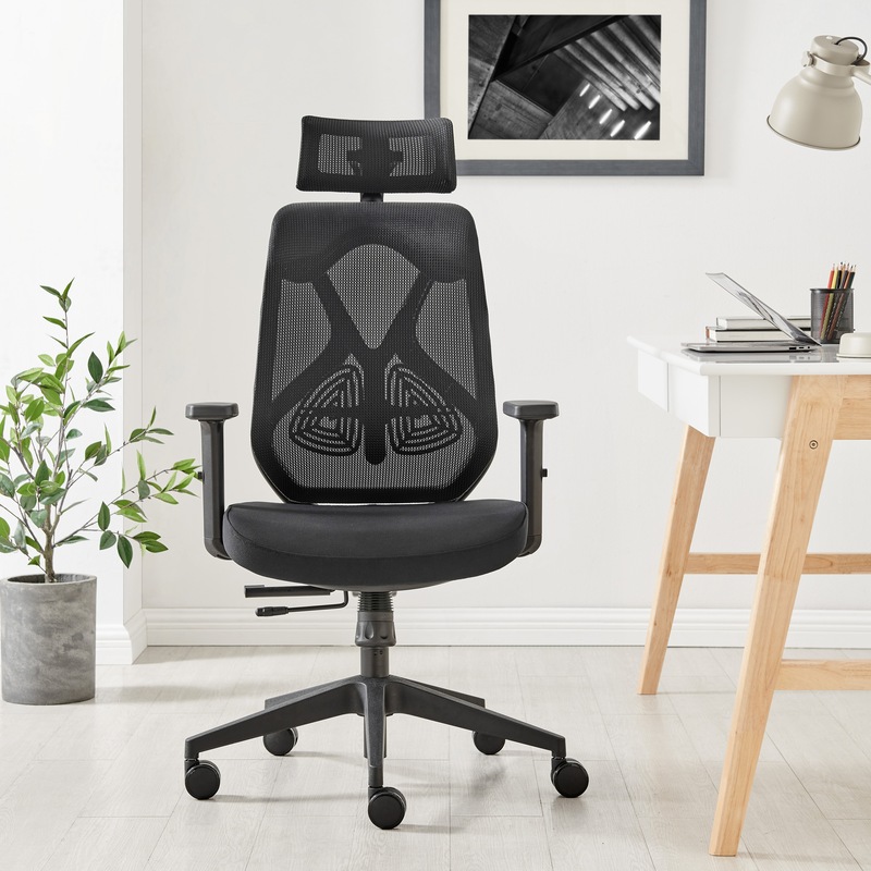 Buy ErgoDuke Deluxe High Back Mesh Ergonomic Office Chair MyDeal