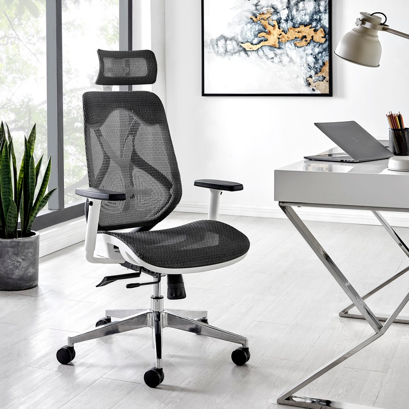 Buy ErgoDuke UltraFlex Ergonomic Commercial Project High Back Office