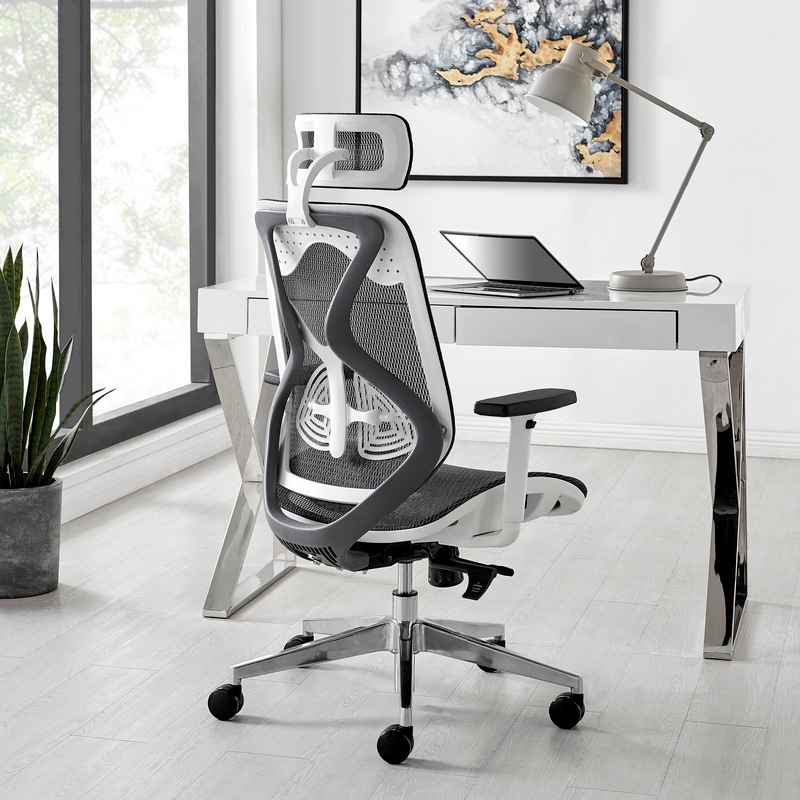 Buy ErgoDuke UltraFlex Ergonomic Commercial Project High Back Office