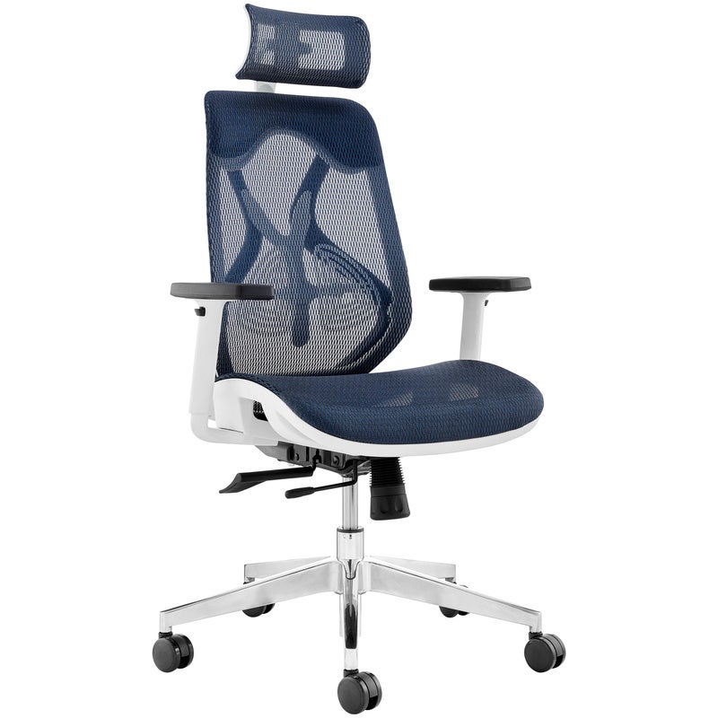ErgoDuke Ultra-Flex Ergonomic Commercial Project High Back Office Chair with Headrest (Blue)