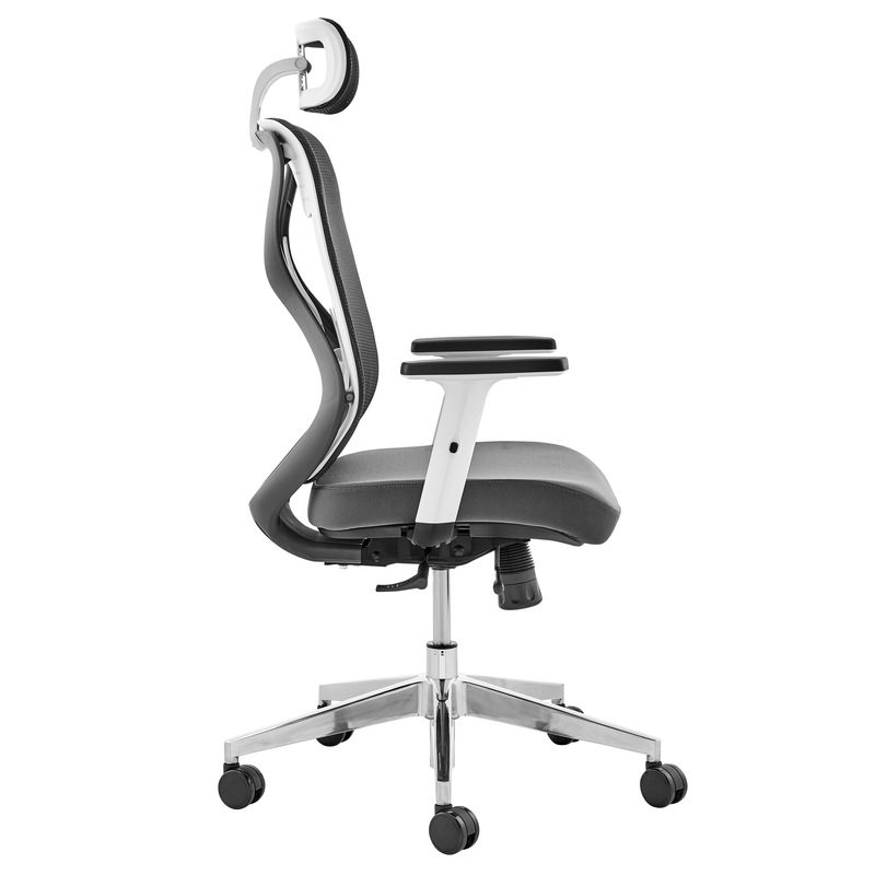 Buy ErgoDuke UltraFlex Ergonomic Commercial Project High Back Office Chair with Headrest (Mesh