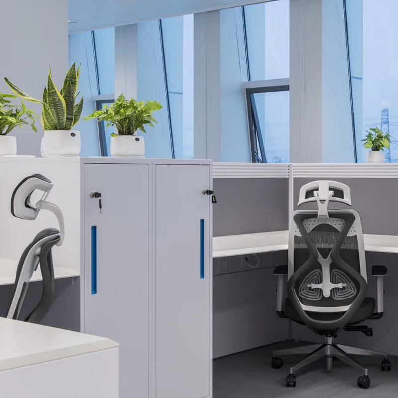 Buy ErgoDuke UltraFlex Ergonomic Commercial Project High Back Office