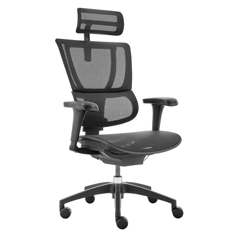 Buy Ergohuman 2 Premium Fit IOO Executive Office Chair High Back