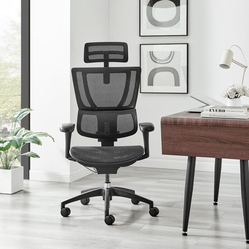 Ergohuman fit ioo executive office 2024 chair high back black frame