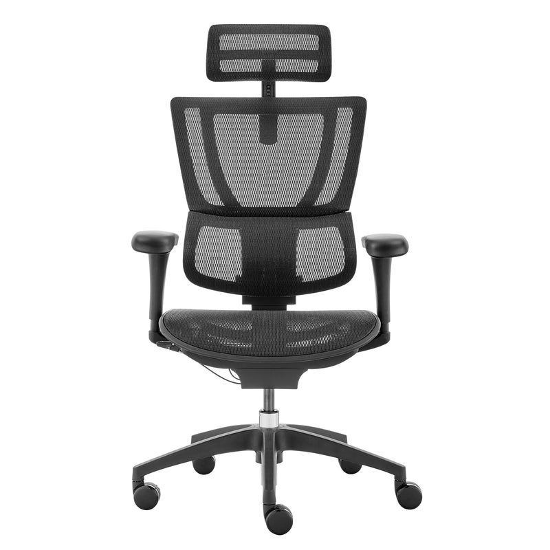 Ergohuman fit ioo executive office chair high back black frame new arrivals