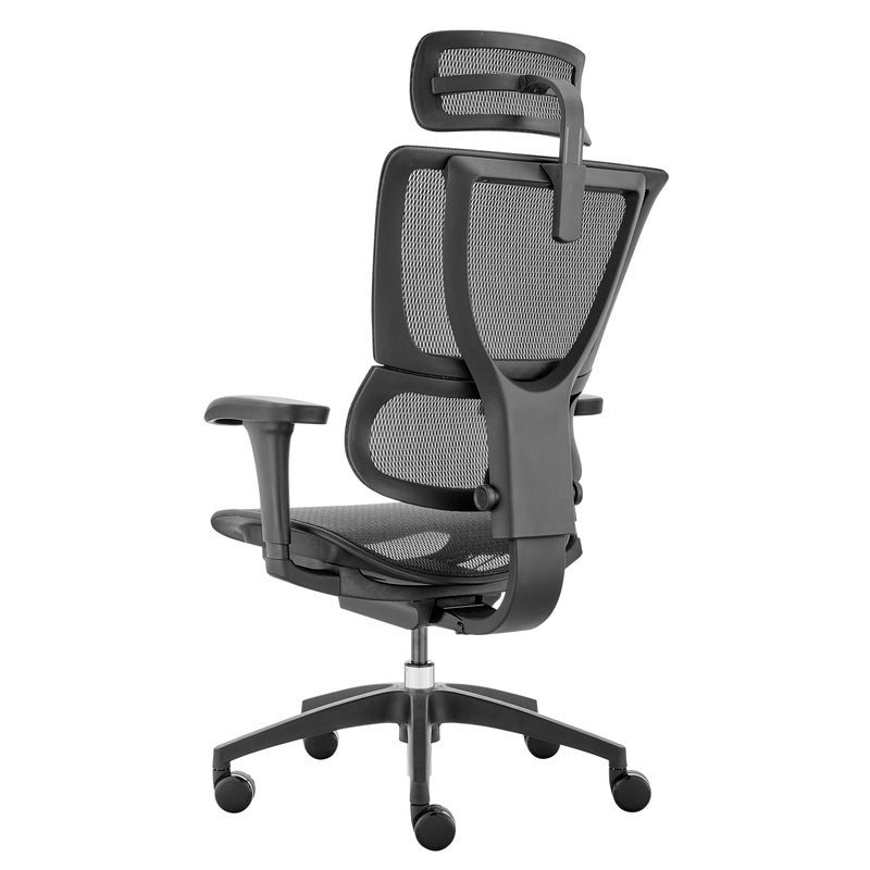 Buy Ergohuman 2 Premium Fit IOO Executive Office Chair High Back