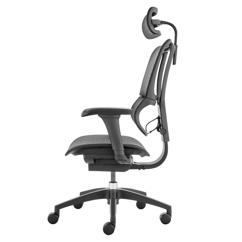 Buy Ergohuman 2 Premium Fit IOO Executive Office Chair High Back