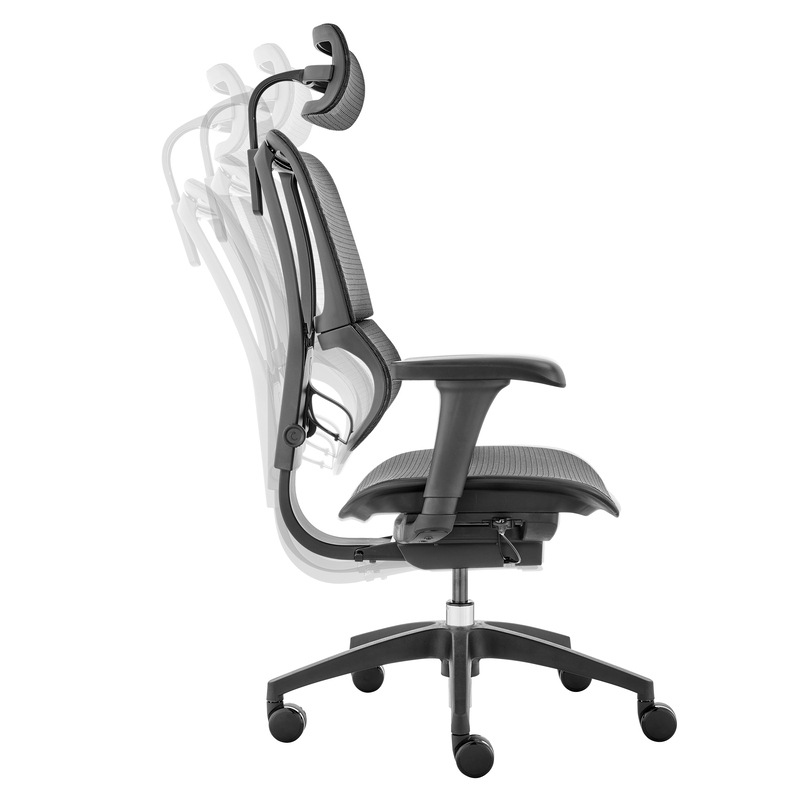 Ergohuman fit ioo review Clearance