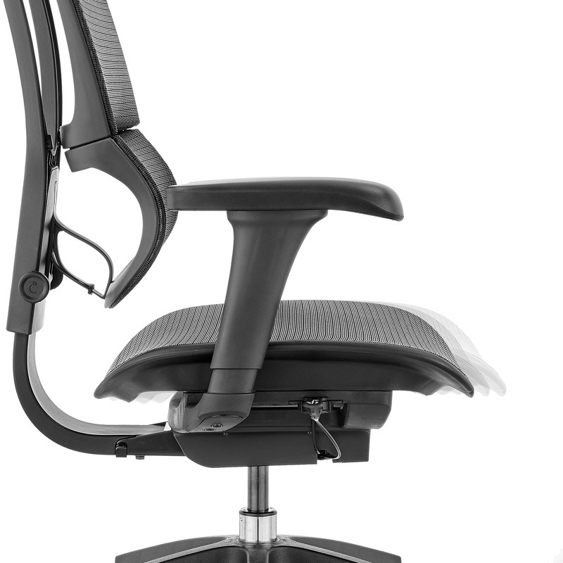 Buy Ergohuman 2 Premium Fit IOO Executive Office Chair High Back Black