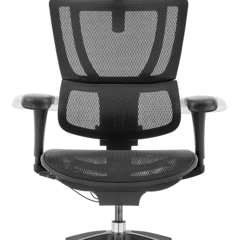 Buy Ergohuman 2 Premium Fit IOO Executive Office Chair High Back Black
