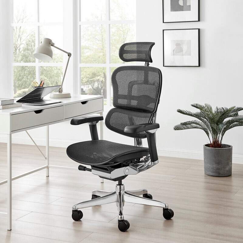 Ergohuman fit high back office chair Clearance