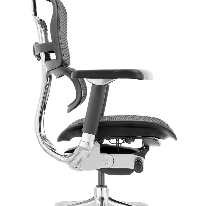 Buy Ergohuman 2 Luxury GEN Fit IOO Executive High Back Office Chair