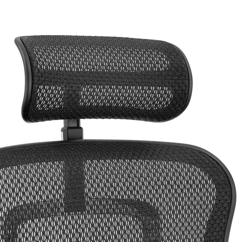 Buy Ergohuman 2 Luxury GEN Fit IOO Executive High Back Office Chair