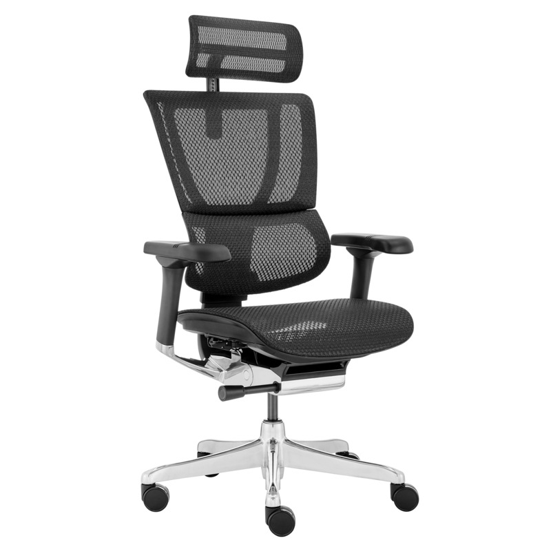 Buy Ergohuman 2 GEN Fit IOO Executive High Back Premium Office Chair