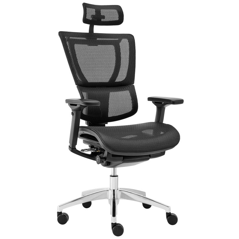 Ergohuman Premium Fit IOO Executive High Back Office Chair Aluminium Base (Black Mesh)
