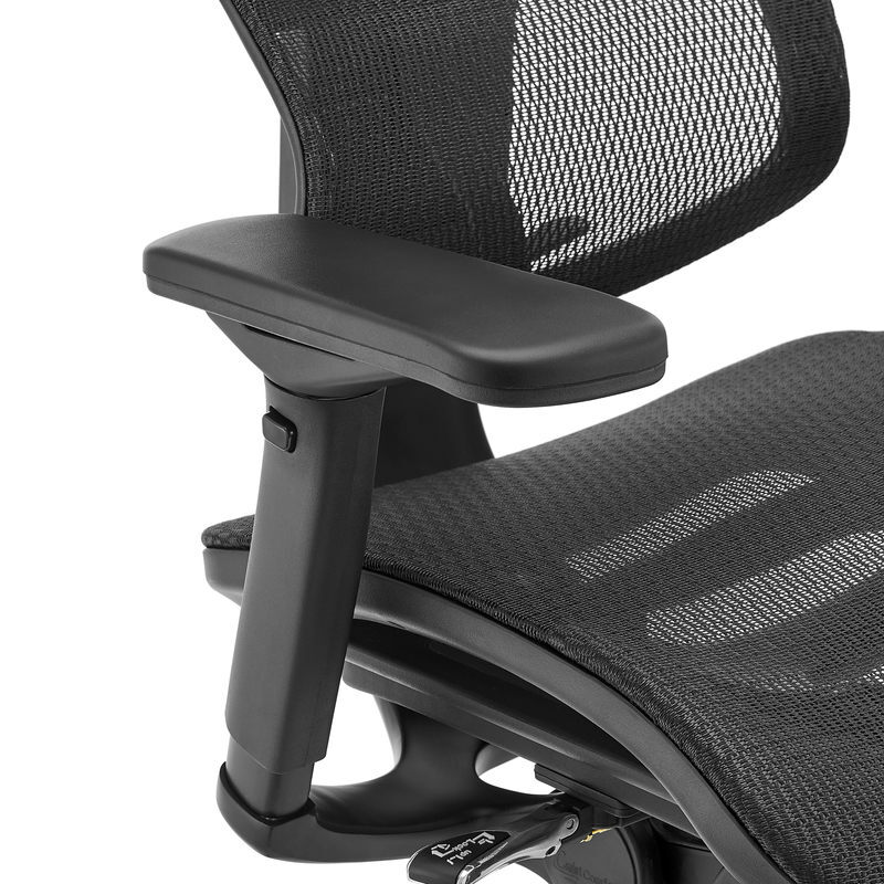 Ergohuman fit ioo discount executive office chair