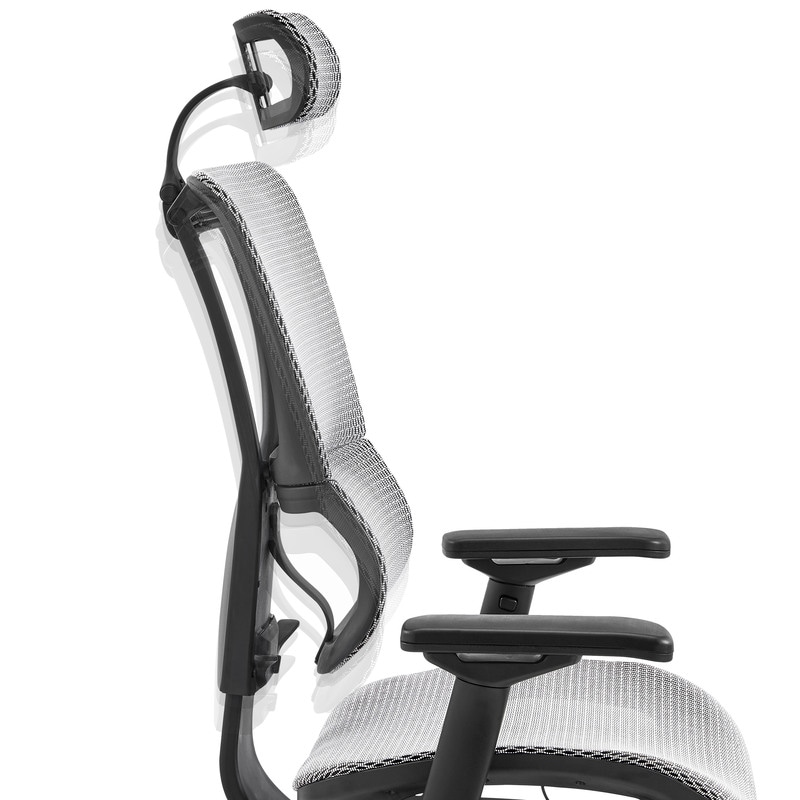 Ergohuman fit high back office chair Clearance