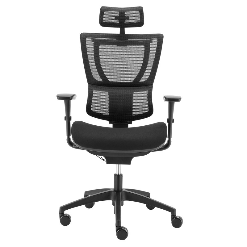 Ergohuman Premium Fit IOO Executive Mesh & Upholstered Office Chair