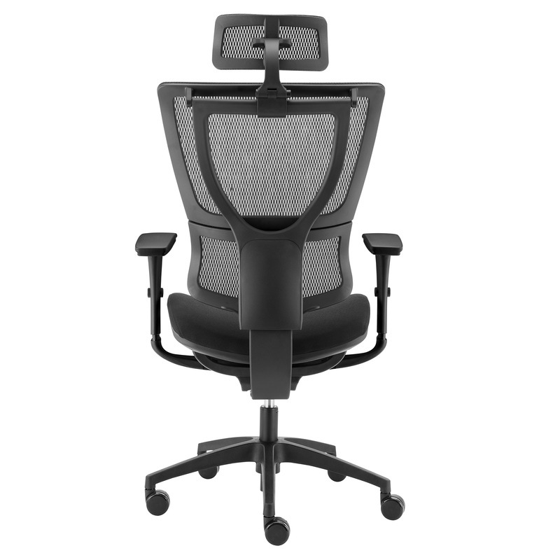 Ergohuman Premium Fit IOO Executive Mesh & Upholstered Office Chair