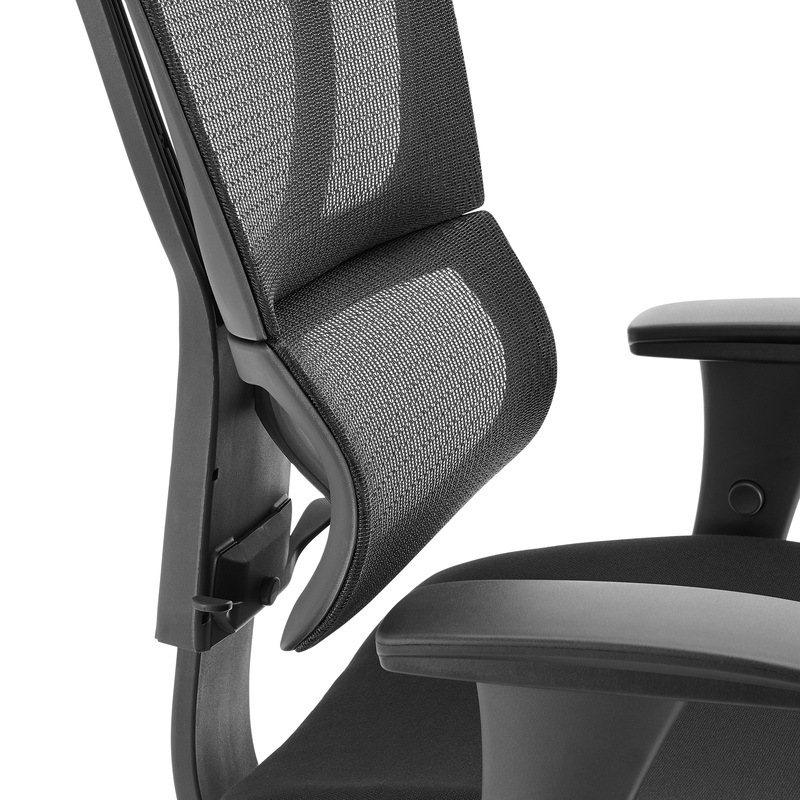 Ergohuman Premium Fit IOO Executive Mesh & Upholstered Office Chair ...