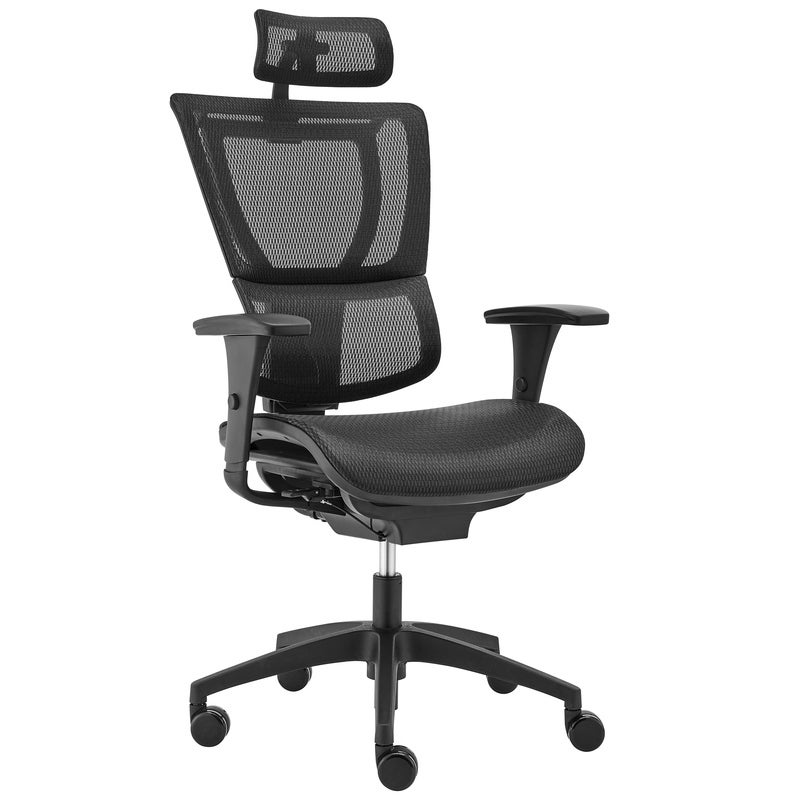 Ergohuman Premium Fit IOO Executive Office Chair High Back Black Frame