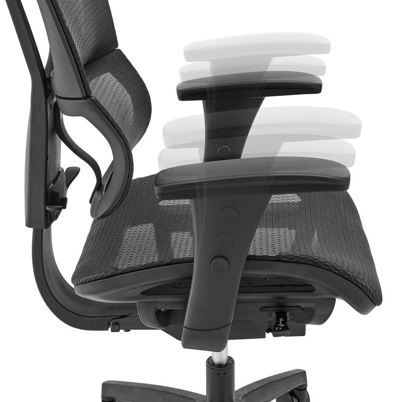 Ergohuman fit ioo executive deals office chair