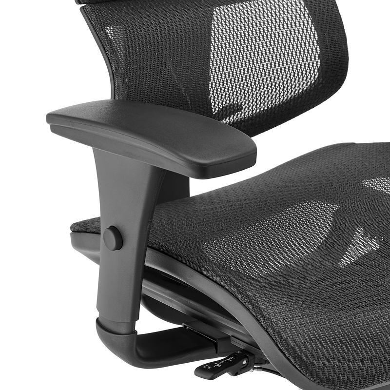 Ergohuman fit ioo executive office 2024 chair high back black frame