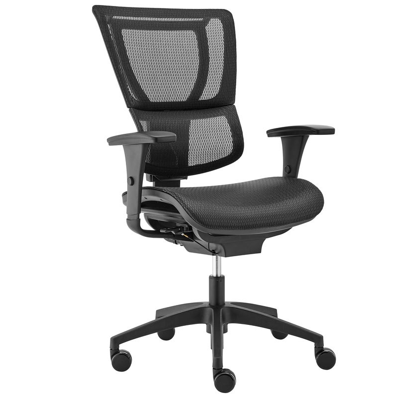 Buy Ergohuman IOO V3 Smart Balance Flex Mesh Project Office Chair