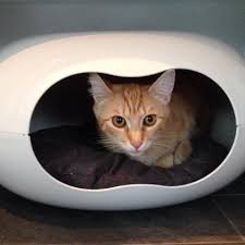 plastic cat cave