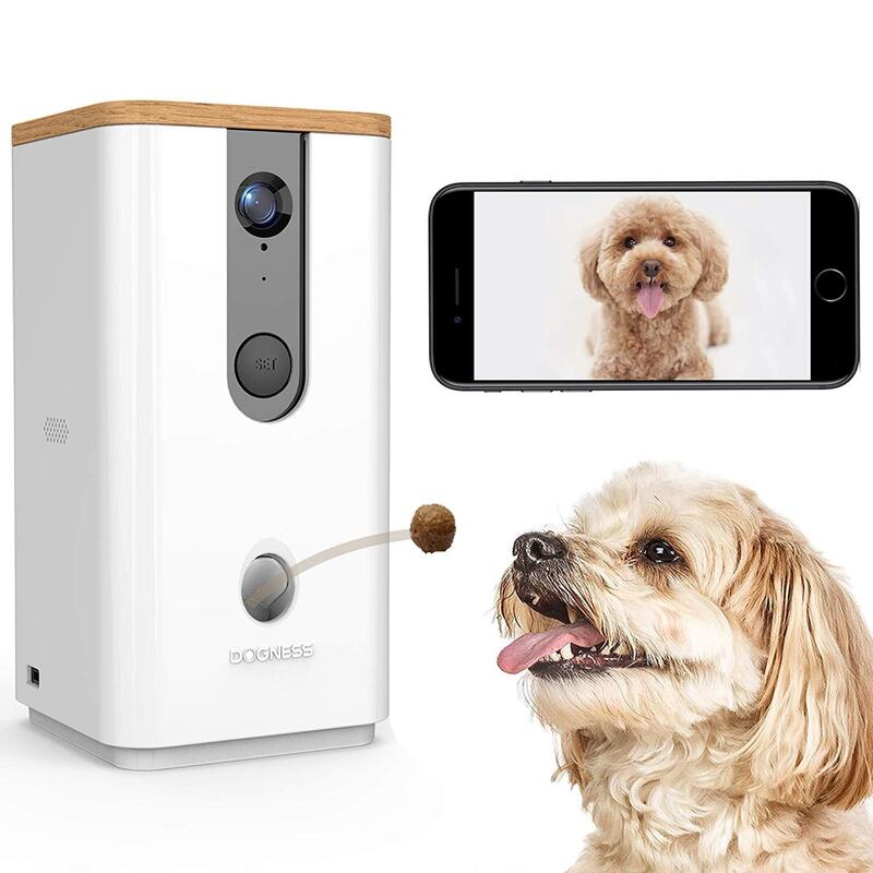 virtual dog treat dispenser