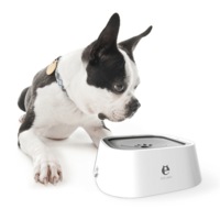 Elspet Splash Proof Pet Water Bowl