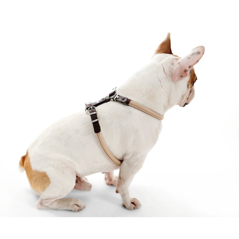 Buy Hunter Calgary Elk Rolled Leather Dog Harness MyDeal