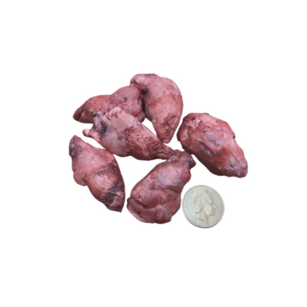Image 4
