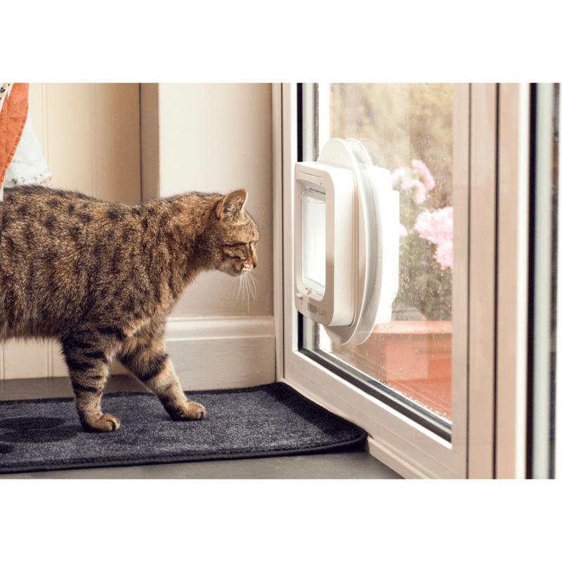 Sureflap Microchip Cat Flap Door Buy Pet Doors 5060180390006