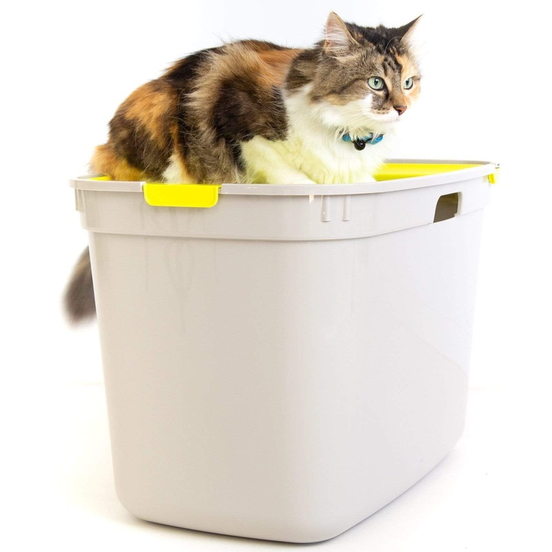 Top Entry Litter Box, Moderna Top Cat, Jumbo Size Buy Cat Litter